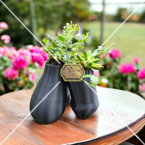 plant box plastic Bloem Dura Cotta Window Box 30 in. Black