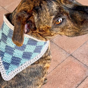 Puede incluir: Un perro atigrado con un pañuelo de ganchillo. El pañuelo presenta un diseño a cuadros en tonos azules y grises, con un borde color crema. El pelaje del perro es una mezcla de marrón y negro.