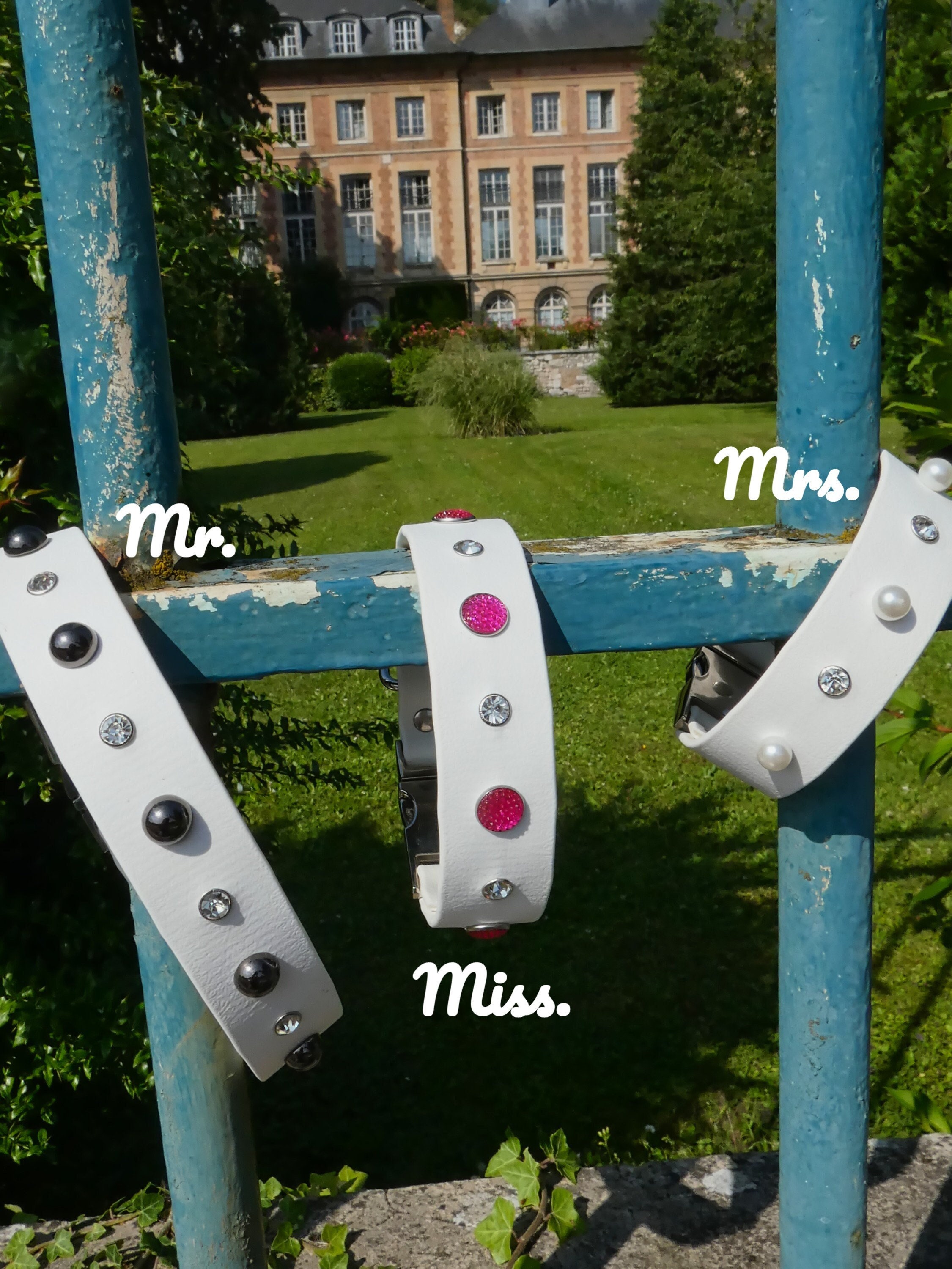 Colliers Pour Chien en Biothane 25mm Mr., Mrs. & Miss.