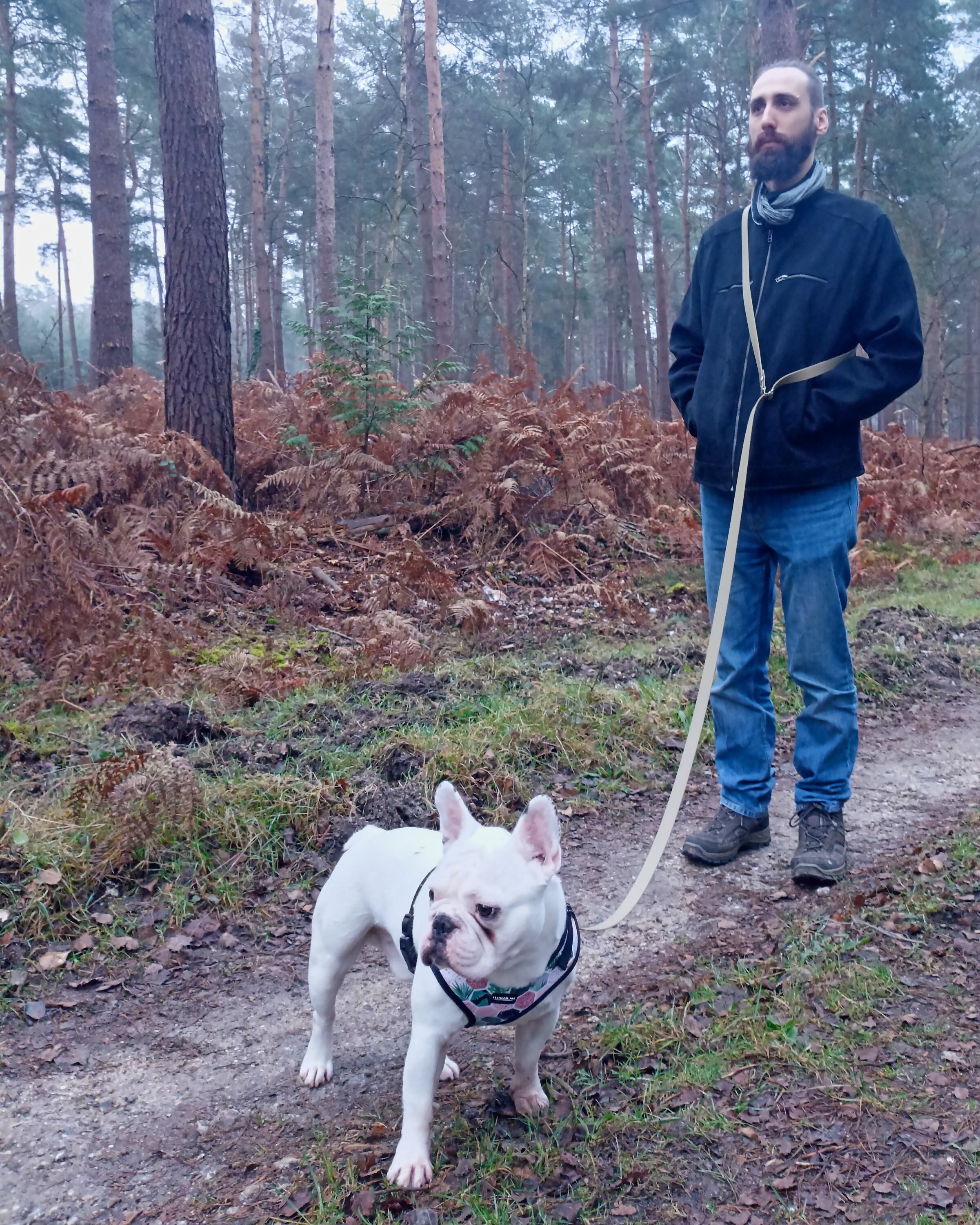 Laisse Mains Libres Biothane 25mm 2M/2M50/3M