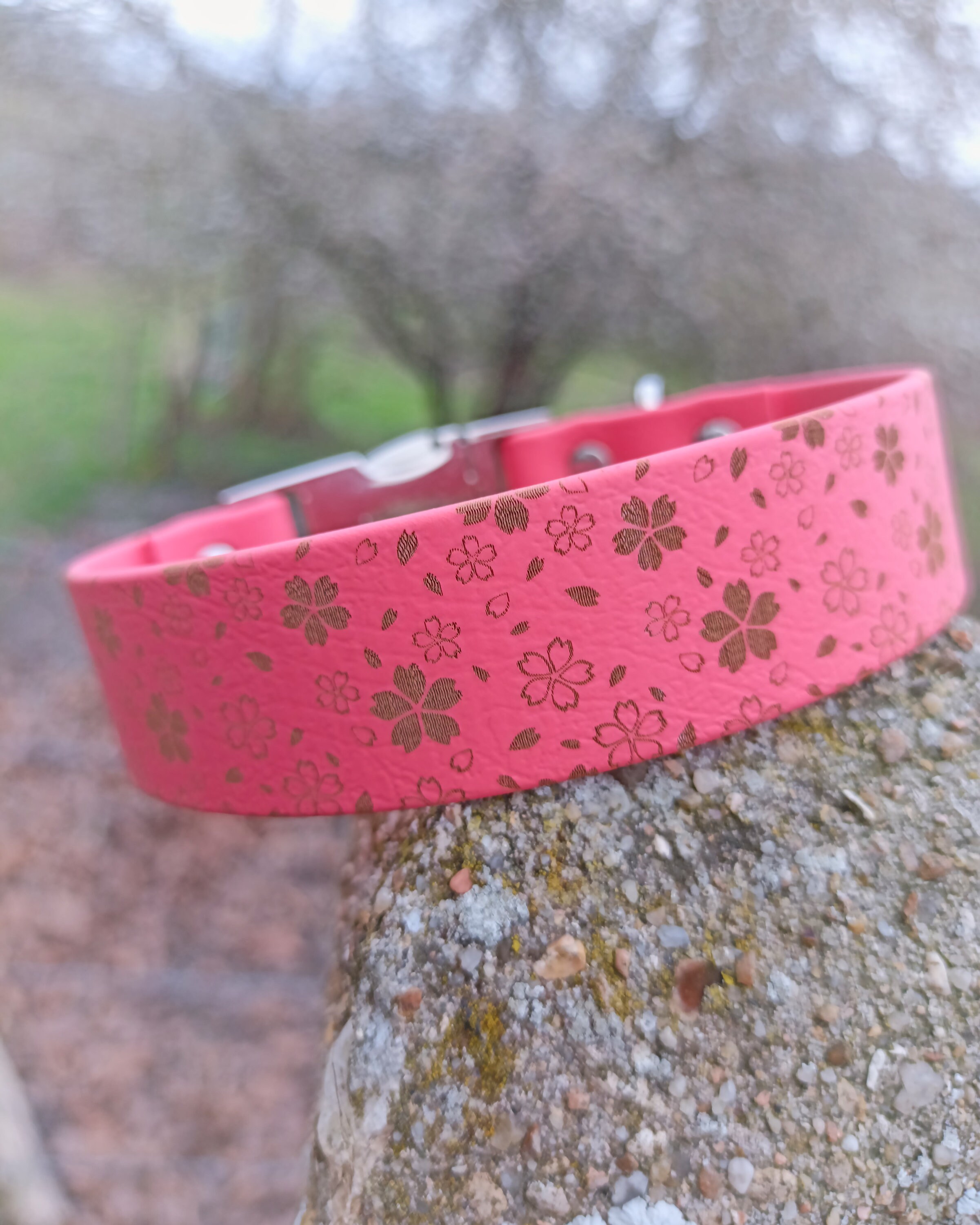 Collier Pour Chien en Biothane 25mm Sakura