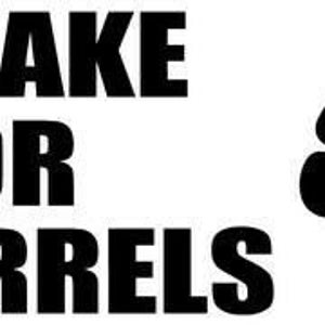 I Brake For Squirrels Home Decor Car Truck Window Decal Sticker