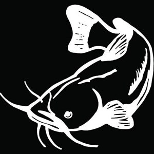 Catfish Fish Fishing Car Truck Window Bumper Vinyl Graphic Decal Sticker