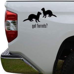 Got Ferrets Animal Pet Die Cut Vinyl Decal Sticker For Car Truck Motorcycle Window Bumper Wall Decor