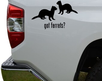 Got Ferrets Animal Pet Die Cut Vinyl Decal Sticker For Car Truck Motorcycle Window Bumper Wall Decor