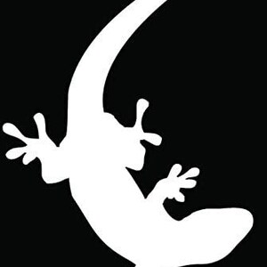 Hawaii Gecko Lizard Car Truck Window Bumper Vinyl Graphic Decal Sticker
