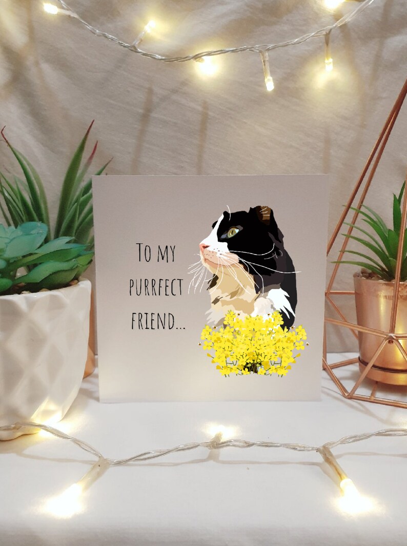 Best Friend Gift Cat Themed Gift Cute Tuxedo Cat Friendship Card Illustrated Cards