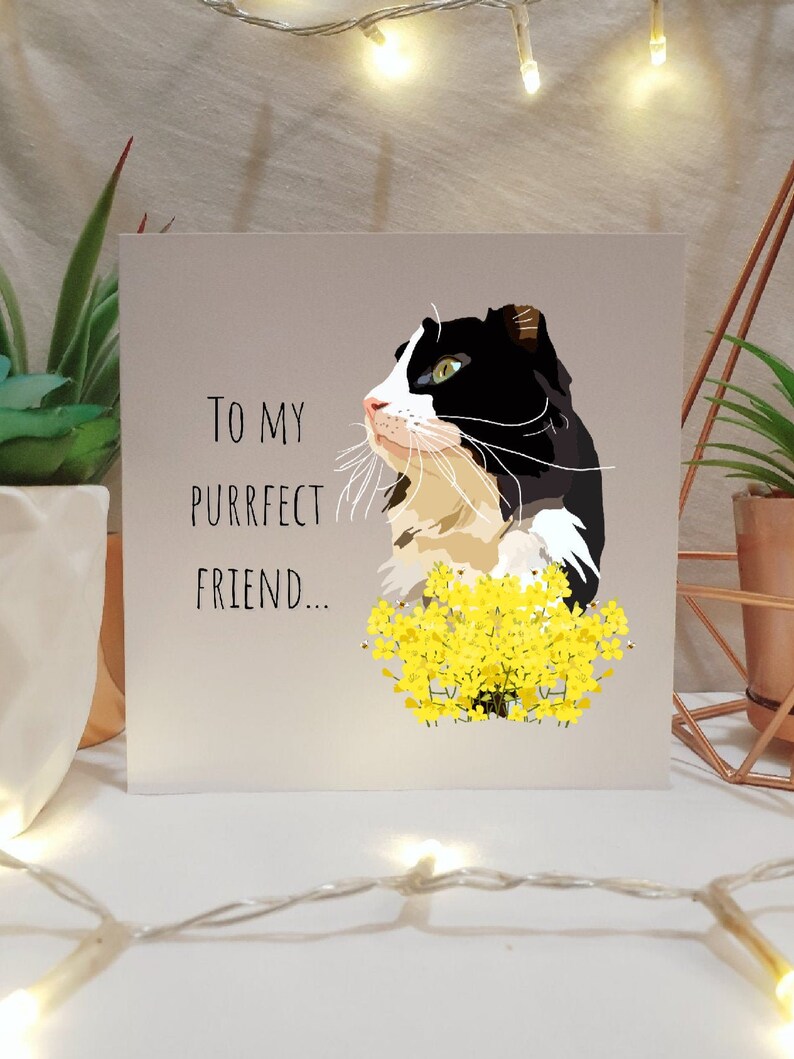 Best Friend Gift Cat Themed Gift Cute Tuxedo Cat Friendship Card Illustrated Cards