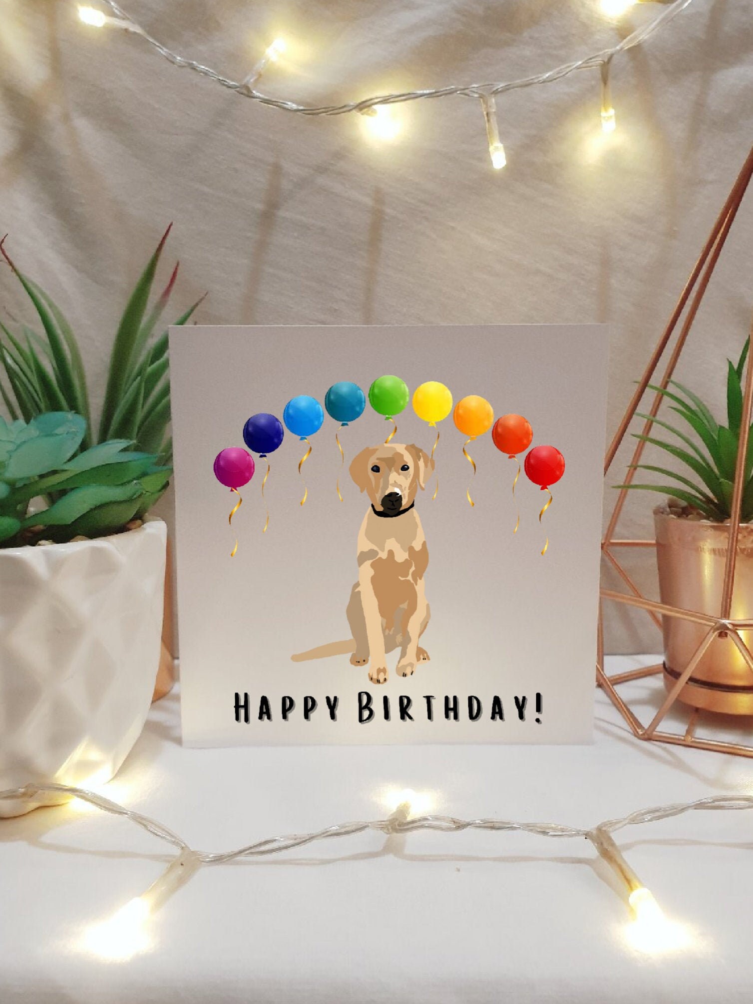 Labrador Dog Birthday Card Pack Card Multipack Etsy