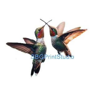 hummingbirds,  , Waterslide decals, or Vinyl transfers, Upcycling  Furniture transfers
