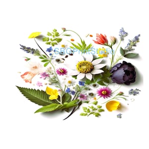 Wildflower Furniture Decals: Waterslide or Vinyl Transfers for Upcycling