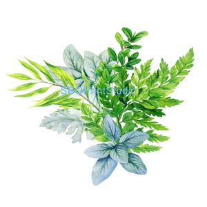 Greenery No3, Trasferimenti per mobili, Decalcomanie ad acqua, Trasferimenti in vinile, Stampa lucida, Riciclo creativo dei mobili