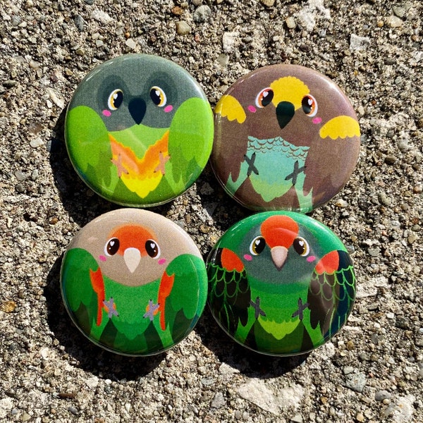 Chibi Poicephalus Family Parrot Button Pin- Senegal Parrot/ Meyers Parrot/ Jardines Parrot/ Cape Parrot