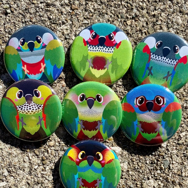 Chibi Conure Pyrrhura Button Pin- Crimson Bellied / Black Capped / Peint / Nacré / Bleu Gorge / Ocre-Marqué / Maroon Bellied / Pfrimer’s