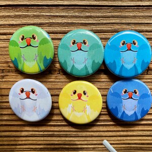 May include: Six round buttons with cartoon parrot designs in various colors: green, teal, blue, light blue, yellow, and dark blue. Each button features a smiling parrot face with a red beak and brown eyes.