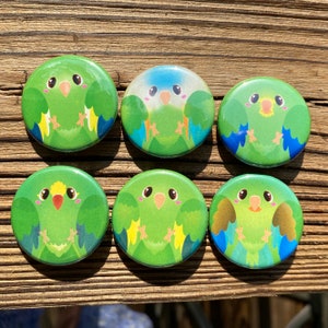 Chibi Brotogeris/Bi-bi-parakit 3,7 cm knappnål - Kanariefågelvingad parakit/Orange hakad parakit/Grå kindparakit/Koboltvingad/Tui