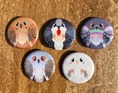 Chibi Dove 1.25 inch Button Pin- Mourning Dove/Luzon Bleeding Heart Dove/Rock Dove (Pigeon)/Diamond Dove/White Dove