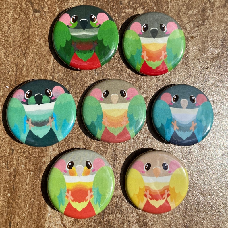 May include: Seven circular badges with colourful parrot illustrations. The badges depict various parrot species with green, red, blue, and yellow plumage. Each badge has a glossy finish and a pin fastening on the back.
