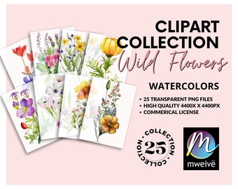 Floral Clipart Wild Flower Watercolor Clipart, Wild Flowers Premade Clipart Wedding Clipart, Spring Clipart Wild Flower