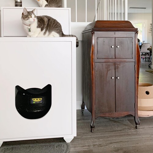 Allinone for Automatic Litter Box Litter Robot Etsy
