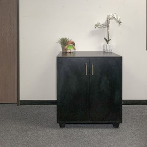 Mid century Cat Cabinet for Litter Robot Shipping Cost NOT