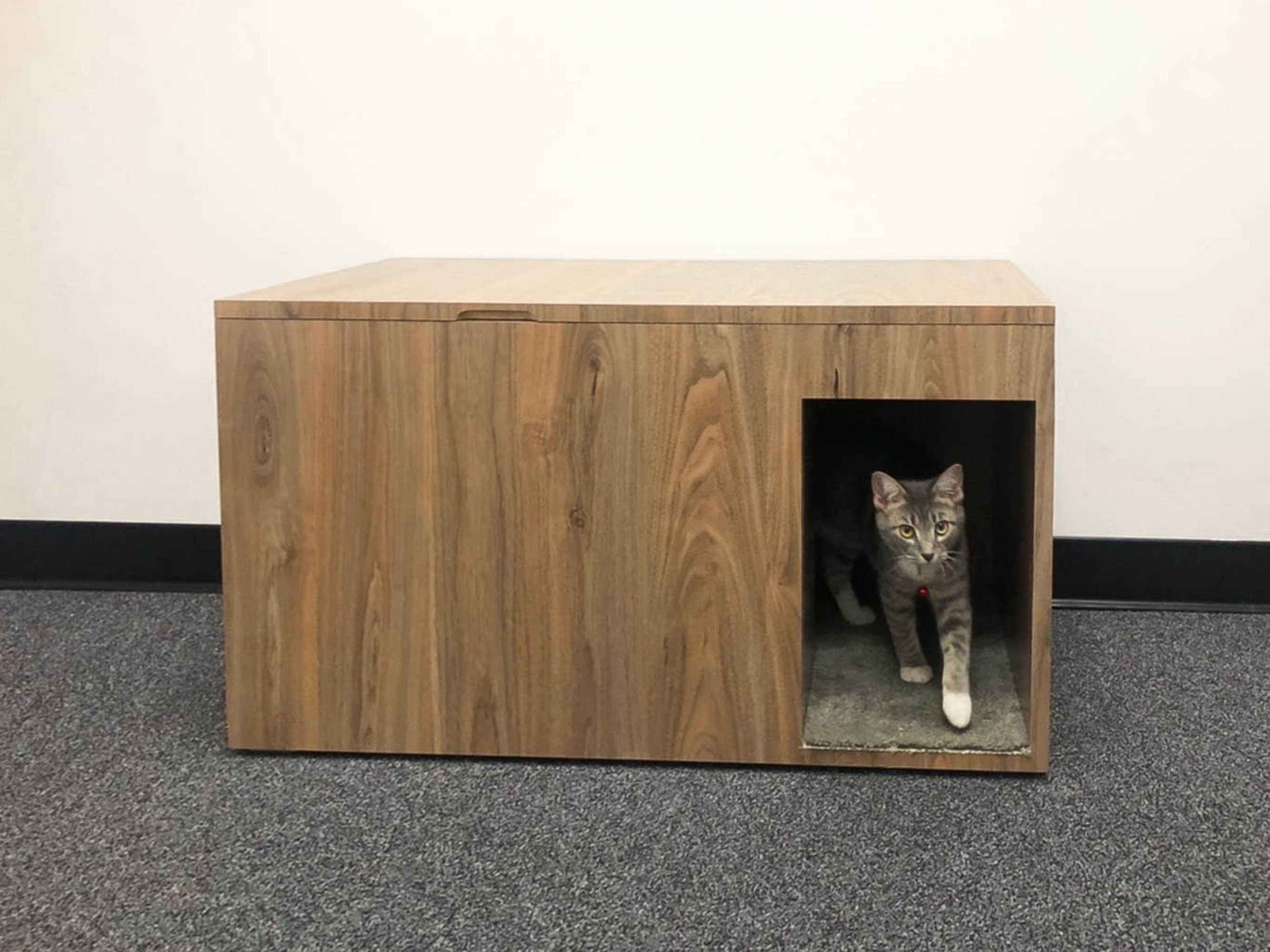 Cat Litter Box Cabinet Cat Furniture Multi Functional Etsy