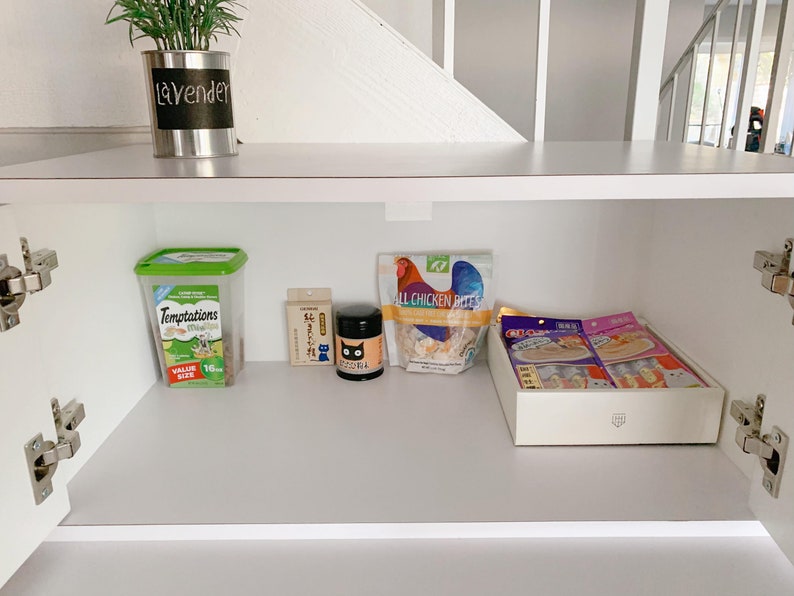 Allinone for Automatic Litter Box Litter Robot Etsy