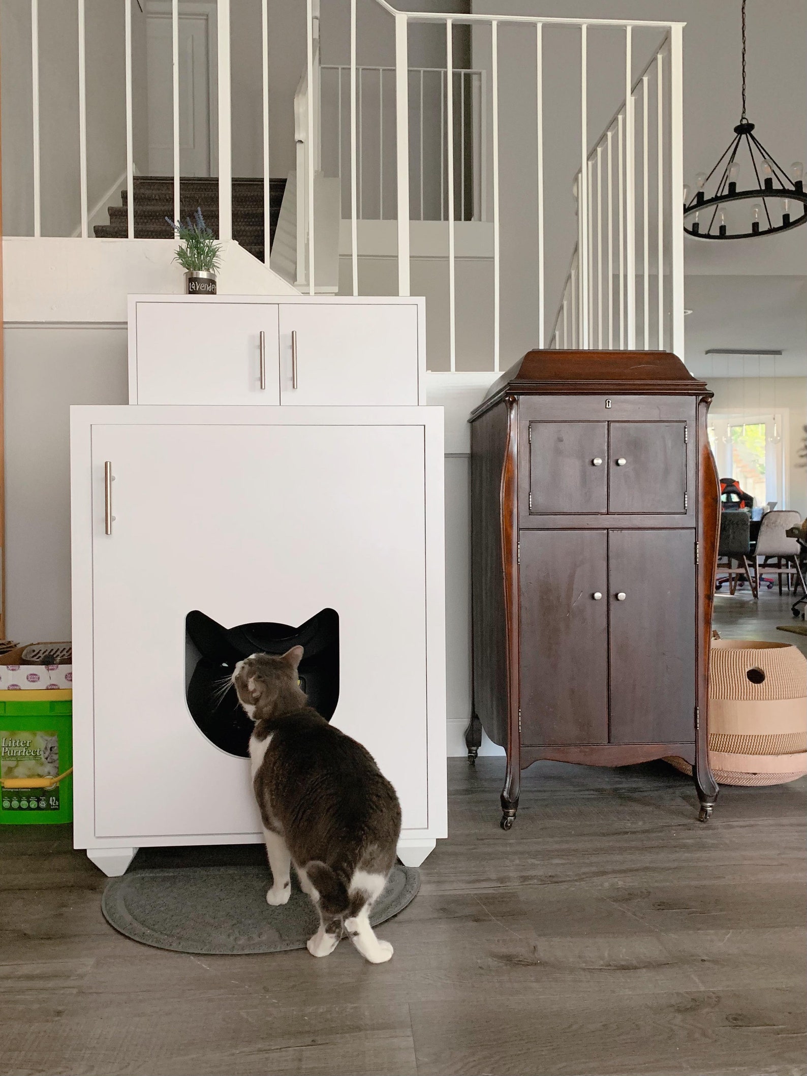 Allinone for Automatic Litter Box Litter Robot Etsy