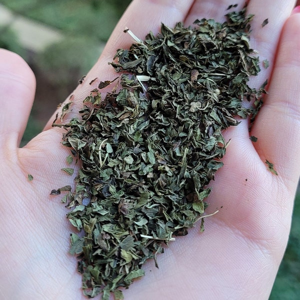 Organic Spearmint Leaf (Domestic) - 1oz