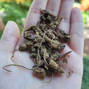 Organic Valerian Root - 1oz