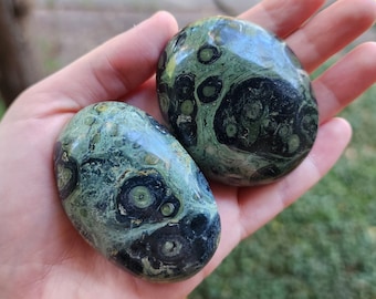 Kombaba Jasper - Palm Stone