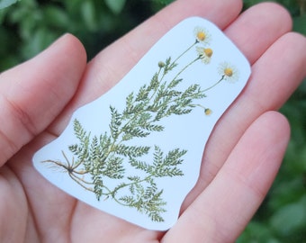 Chamomile Grimoire Sticker - Hand Cut