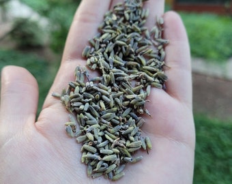 Organic Lavender Flowers (Lavendula x Intermedia) - 1oz