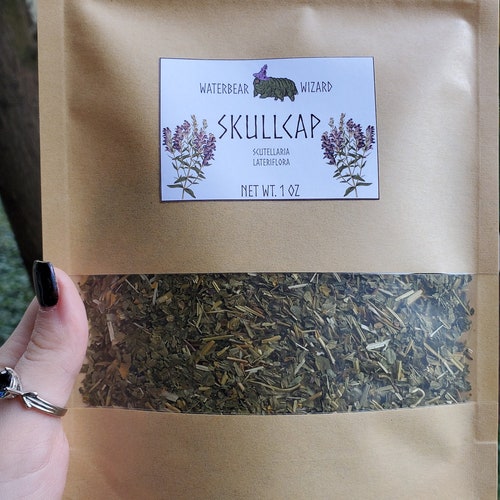 Organic Skullcap Tea 1 Oz Etsy