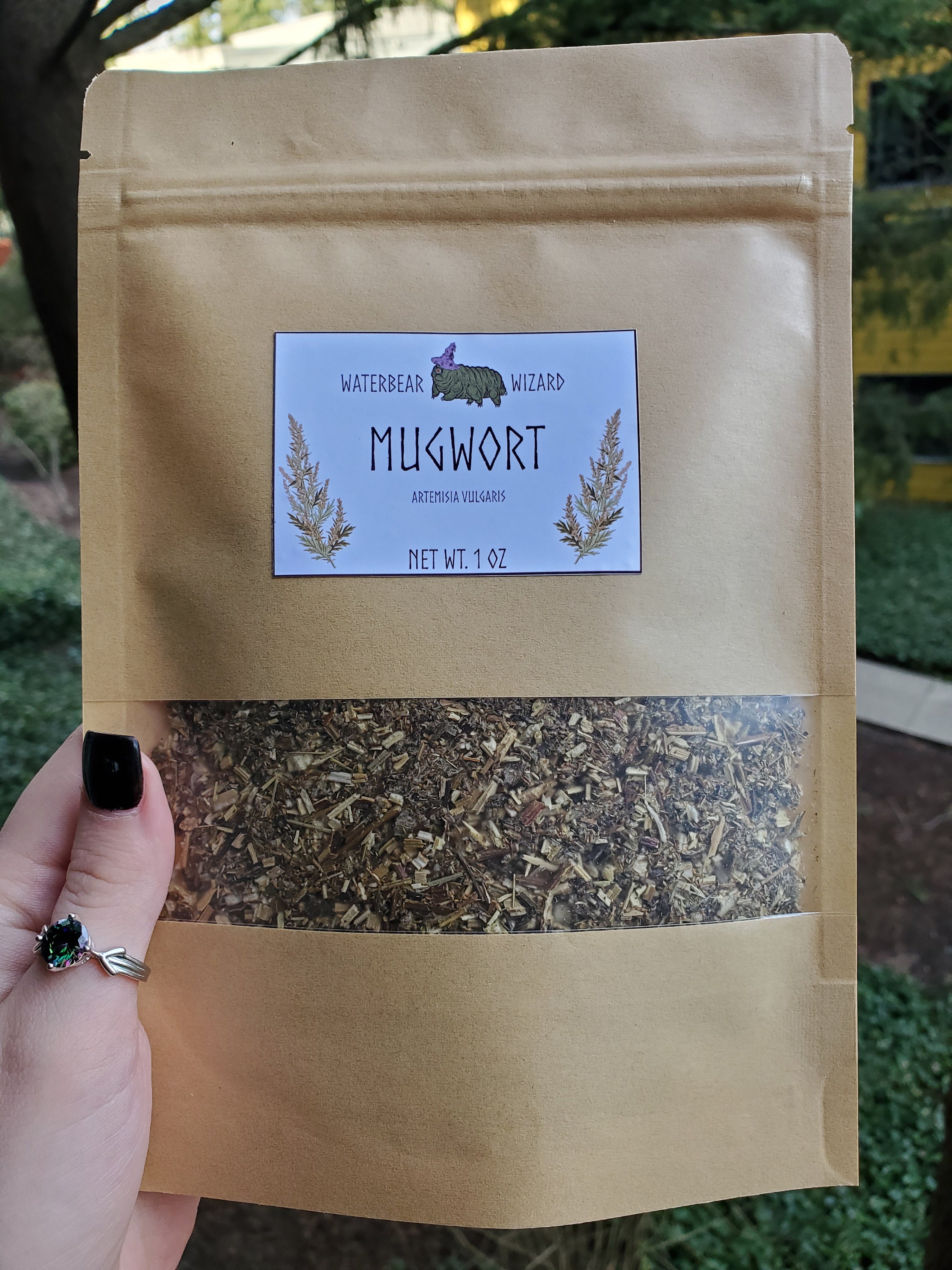 Organic Mugwort Leaf - 1oz