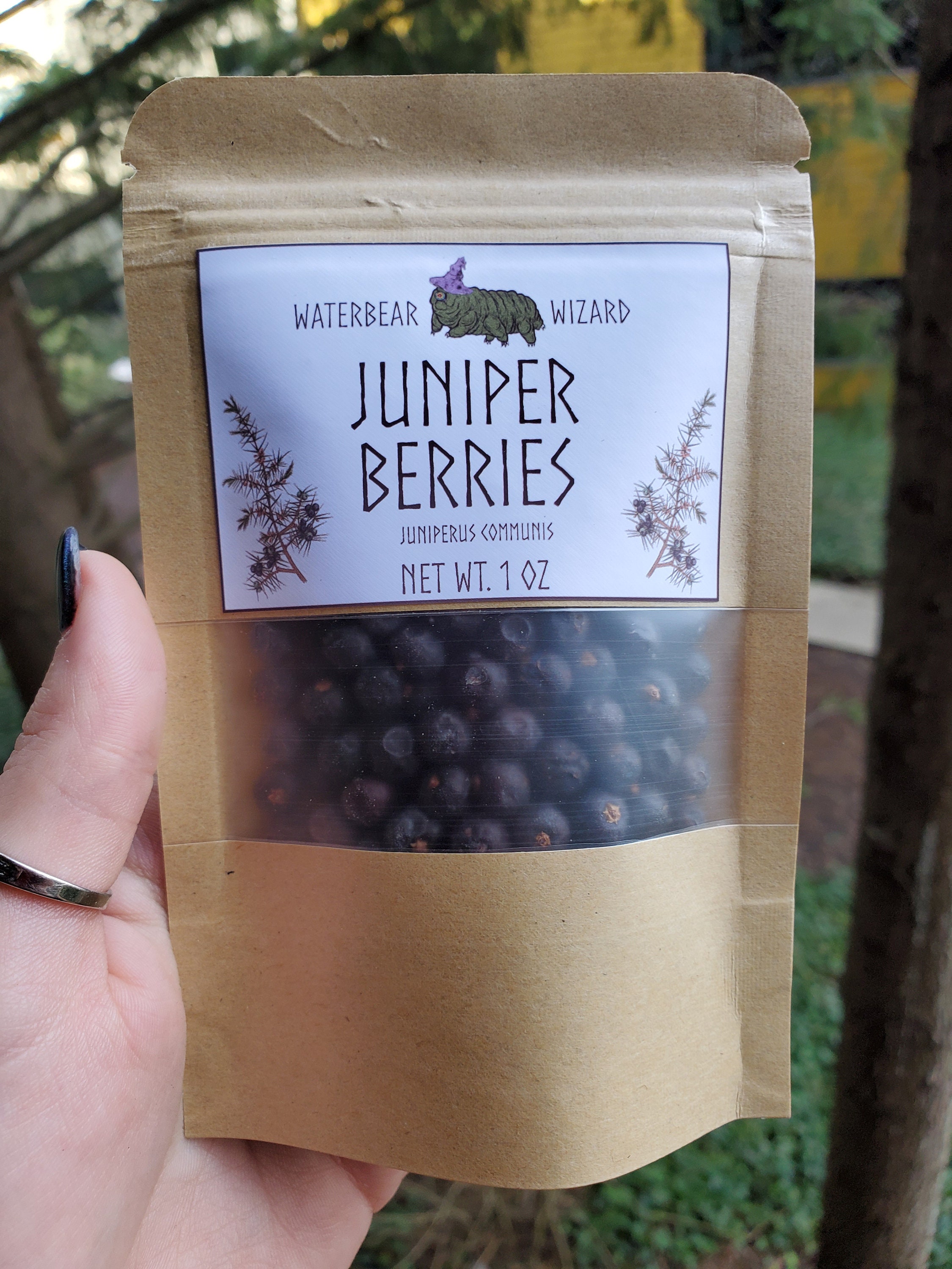 Organic Juniper Berries - 1oz