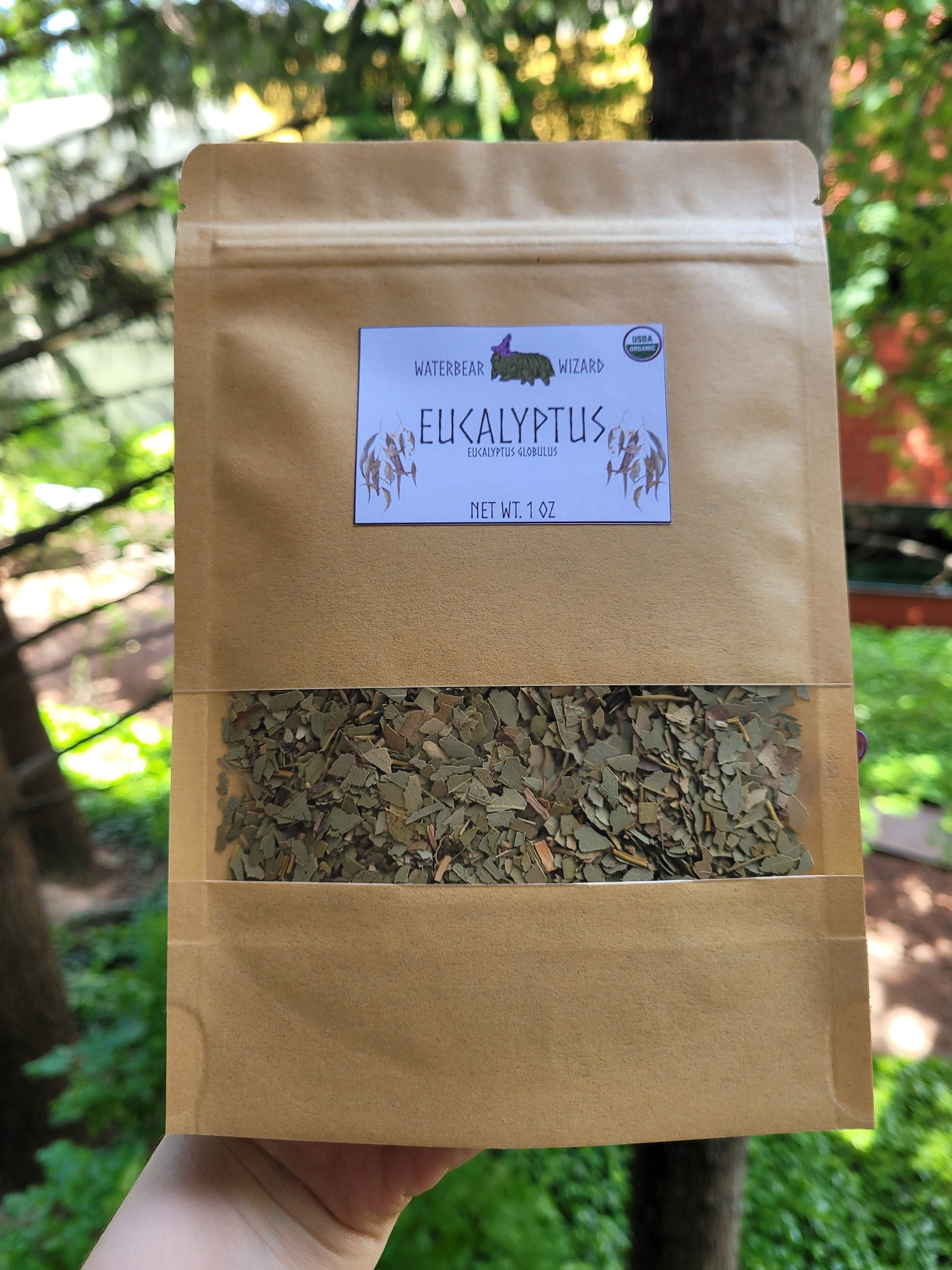 Organic Eucalyptus Leaf - 1oz