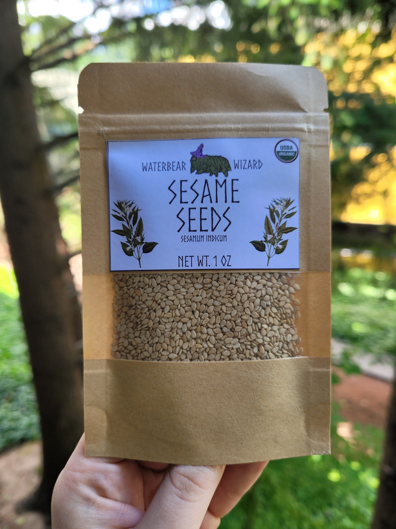 Organic Sesame Seeds Natural Whole 1oz Etsy