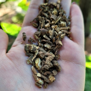 Organic Dandelion Root Raw - 1oz