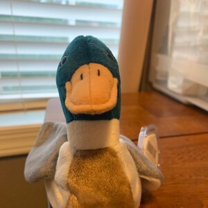 jake beanie baby errors