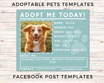 Peut inclure: Un modèle de publication Facebook bleu et blanc pour l'adoption d'un animal de compagnie. Le modèle présente une photo d'un chien brun et blanc avec une expression joyeuse. Le texte sur le modèle comprend le nom du chien, Reggie, son sexe, sa race, son poids, son âge, les frais d'adoption et son lieu. Le modèle comprend également une section pour la personnalité du chien et les coordonnées.