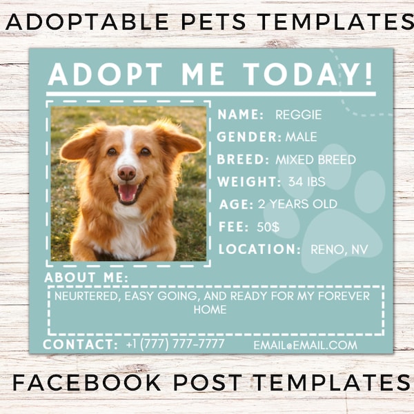Modelli di post su Facebook per Shelter Dog, annuncio di adozione, volantini per cani adottabili.