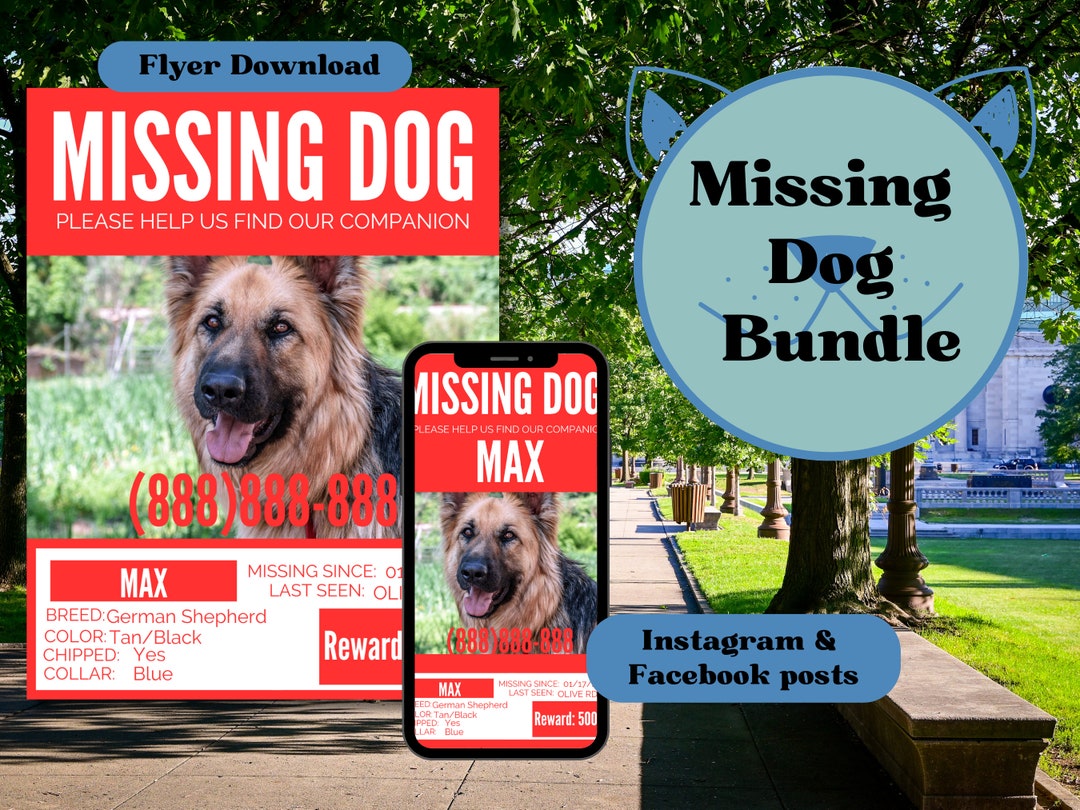 lost-dog-flyer-bundle-editable-missing-dog-flyer-bundle-digital-download-etsy