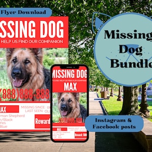 Lost Dog Flyer Bundle, Editable Missing Dog Flyer Bundle Digital Download