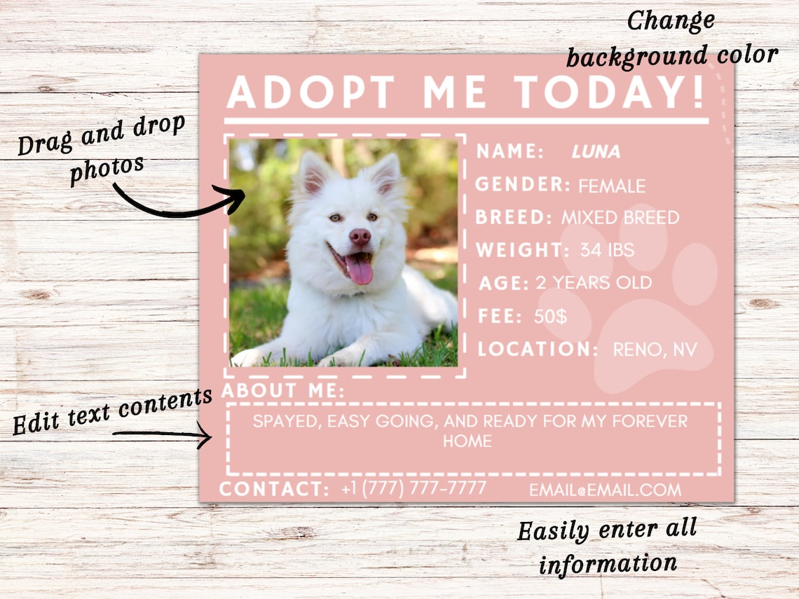 Shelter Dog Facebook Post Templates, Adoption Announcement, Adoptable Dog Flyers. Etsy