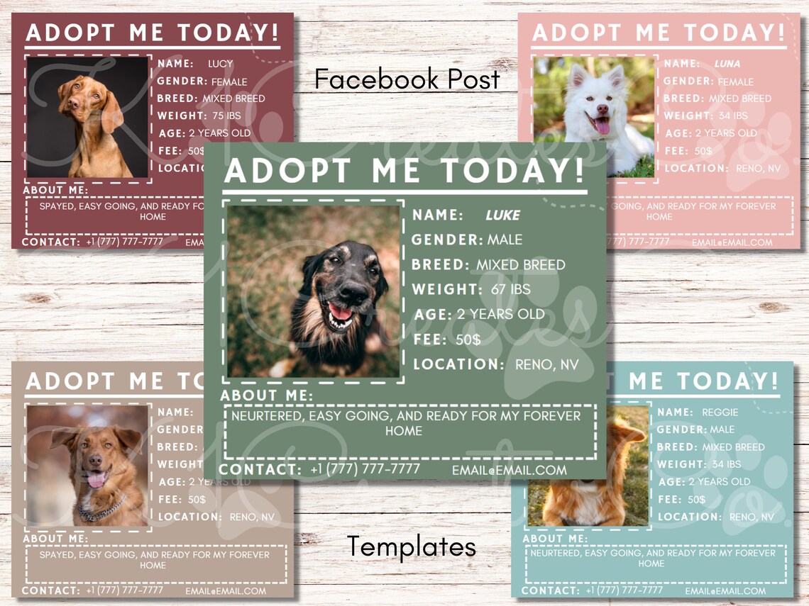 Shelter Dog Facebook Post Templates, Adoption Announcement, Adoptable Dog Flyers. Etsy