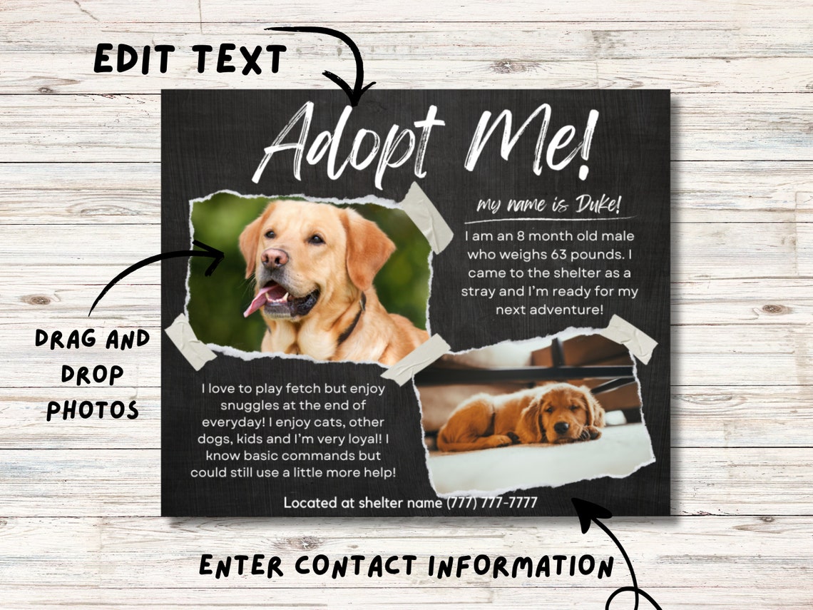 Dog Adoption Templates, Dog Promotion, Rescue Dog Templates Etsy