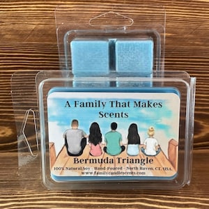 Pode incluir: Uma família de quatro pessoas sentada em um cais, com um céu azul e água ao fundo. O texto "A Family That Makes Scents" e "Bermuda Triangle" está no rótulo. O rótulo também inclui o texto "100% Natural Soy - Hand-Poured - North Haven, CT, USA. www.familycandlescents.com".