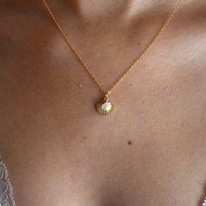Dainty Gold Seashell Necklace with Pearl • Coastal Beach Jewelry • Minimalist Summer Necklace • Gift for Her • Gold Filled Layering Necklace