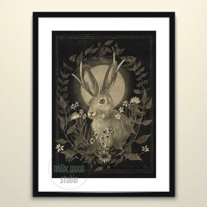 Jackalope art print - folklore - cryptid - fantasy